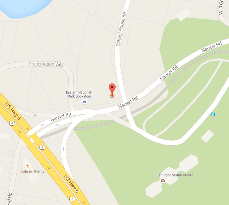 screenshot-www.google.com 2015-05-29 20-32-28